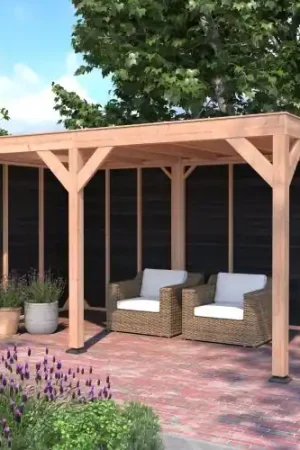 Douglas overkapping geschaafd 450 x 250 cm zwarte wanden Beperkt Aanbod
