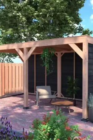 Lage Kosten Douglas overkapping geschaafd 500 x 250 cm zwarte wanden
