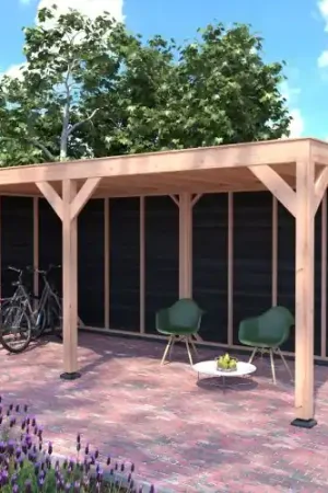 Voordeelprijs Douglas overkapping geschaafd 550 x 250 cm asymmetrisch 2 zwarte wanden
