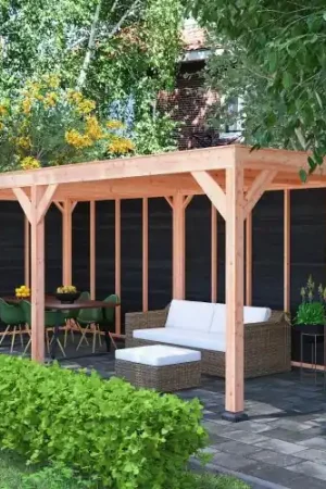 Douglas overkapping geschaafd 650 x 250 cm zwarte wanden Hoge Kwaliteit