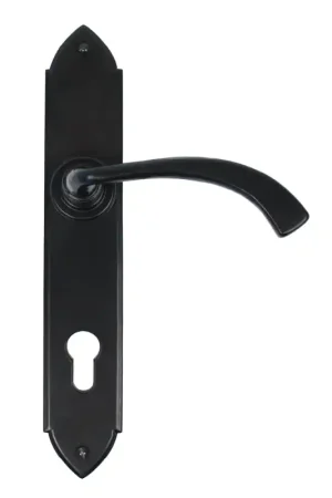 Gereduceerde Prijs Wardlo deurkruk op schild 248x44mm PC92 smeedijzer zwart