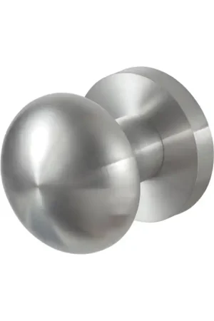Koop Vandaag GPF9959.09-00 RVS geborsteld paddenstoel knop 52mm met rond rozet