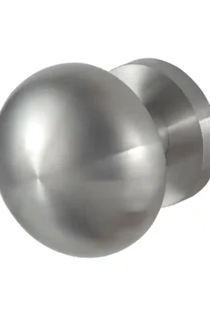 GPF9957.09-00 RVS geborsteld paddenstoel knop 65mm met rond rozet Koop Online