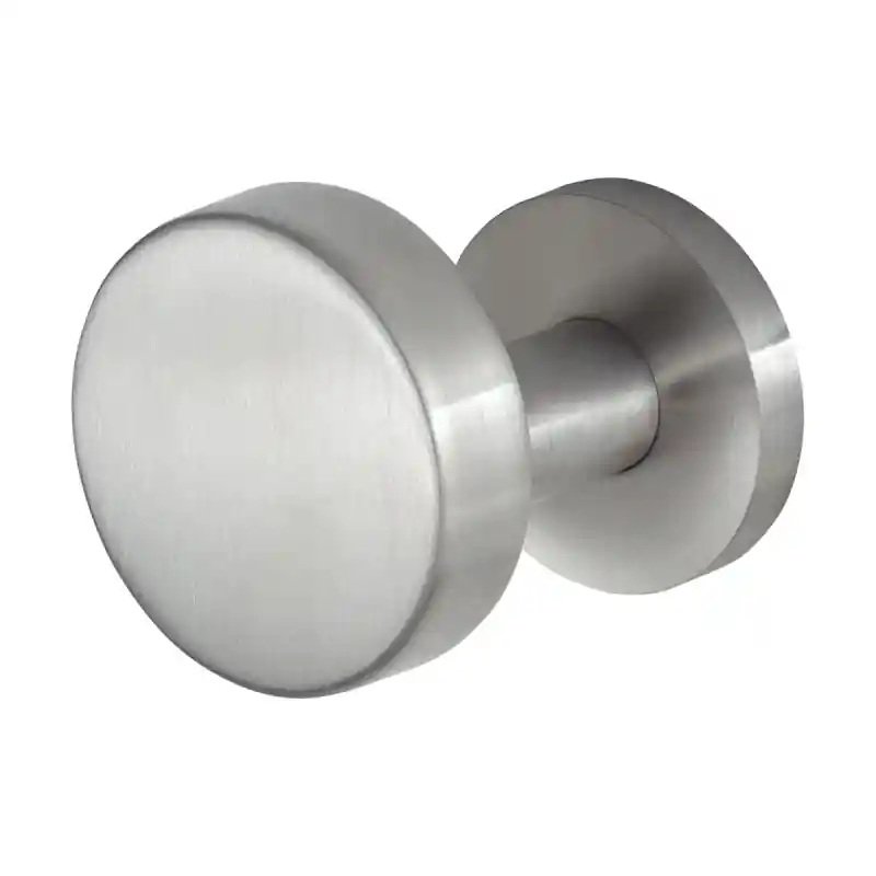GPF9860.09-00 RVS mat excentrische knop 60x16mm op ronde rozet Alleen Vandaag