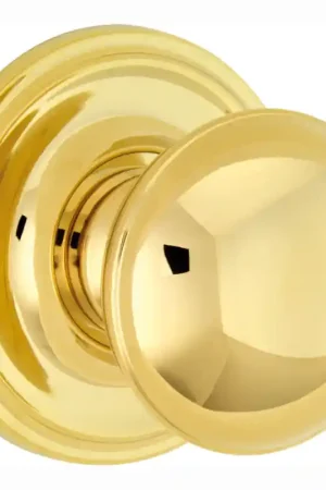 Beste Prijs Mi Satori Voordeurknop Paddenstoel 60mm gepolijst PVD