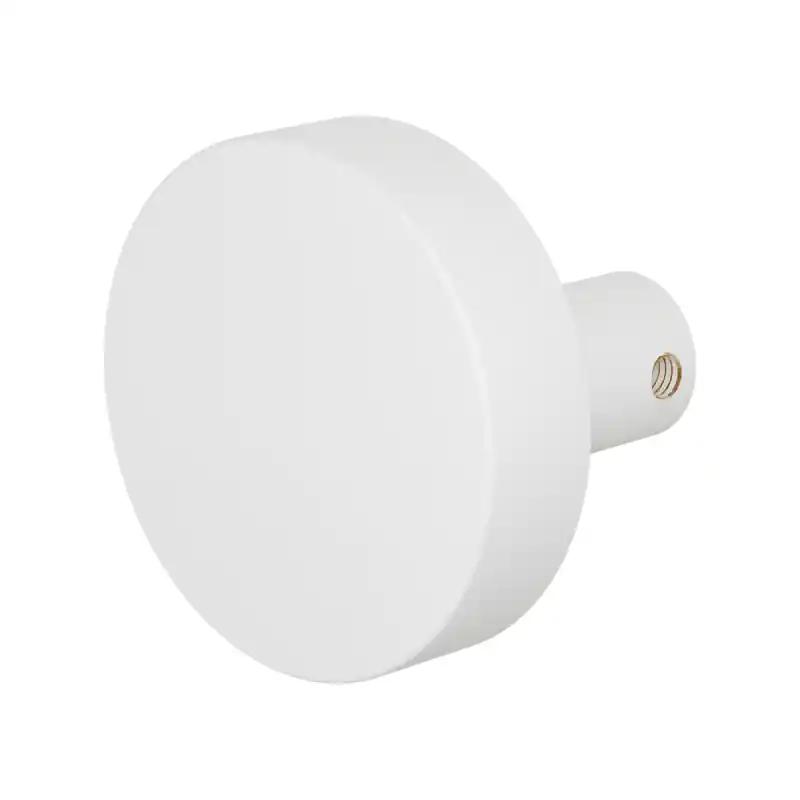 GPF8965.62 Wit excentrische knop 60x16mm Must-Have