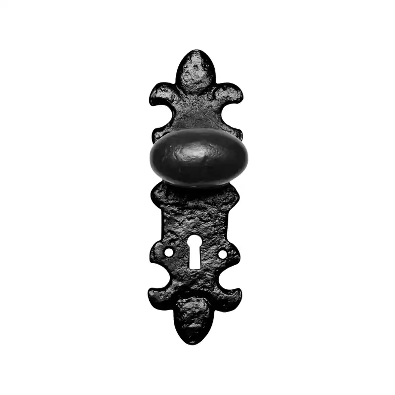 Aanbieding KP1213 knop 63x38mm op schild 203x63mm PC55 vast smeedijzer