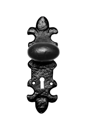 Beste Prijs KP1213 knop 63x38mm op schild 203x63mm BB56 vast smeedijzer