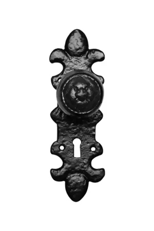 Koop Online KP1212 knop 50mm op schild 203x63mm BB56 draaibaar smeedijzer