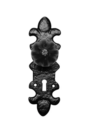 Voordeelprijs KP1211 knop 50mm op schild 203x63mm PC55 draaibaar smeedijzer