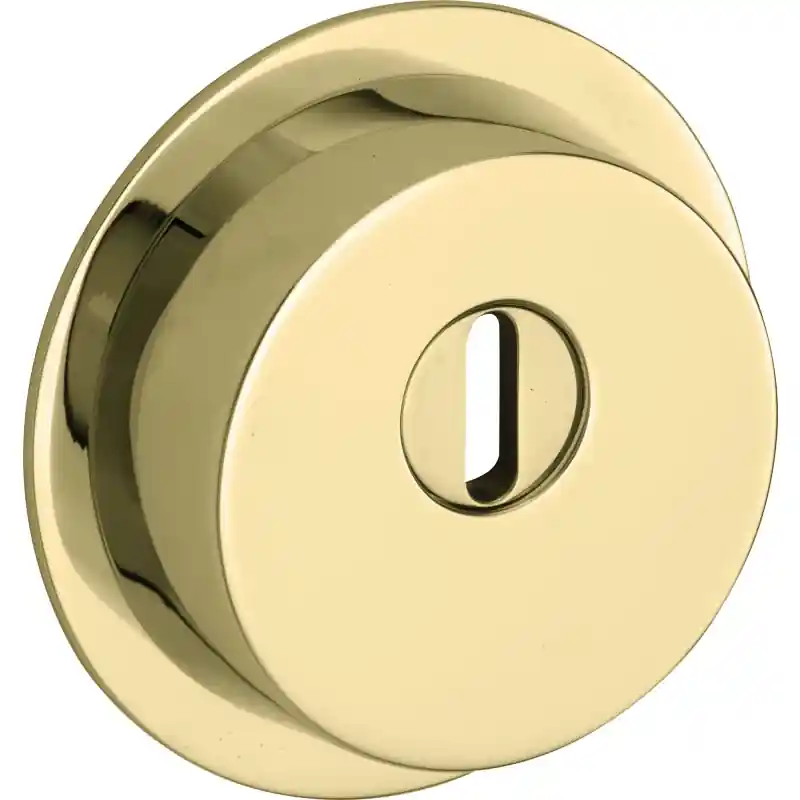 Must-Have Mi Satori SKG cilinderrozet Elegant tbv oplegslot mat zwart