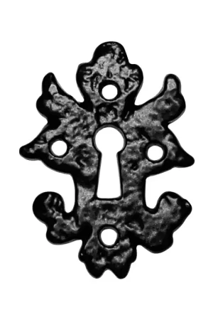 Alleen Vandaag Sleutelrozet KP1064 82x60mm smeedijzer zwart
