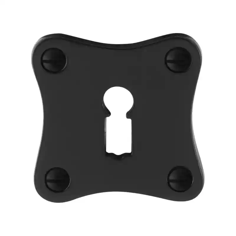 Direct Beschikbaar Sleutelrozet GPF6901.09 52x52x4mm smeedijzer zwart