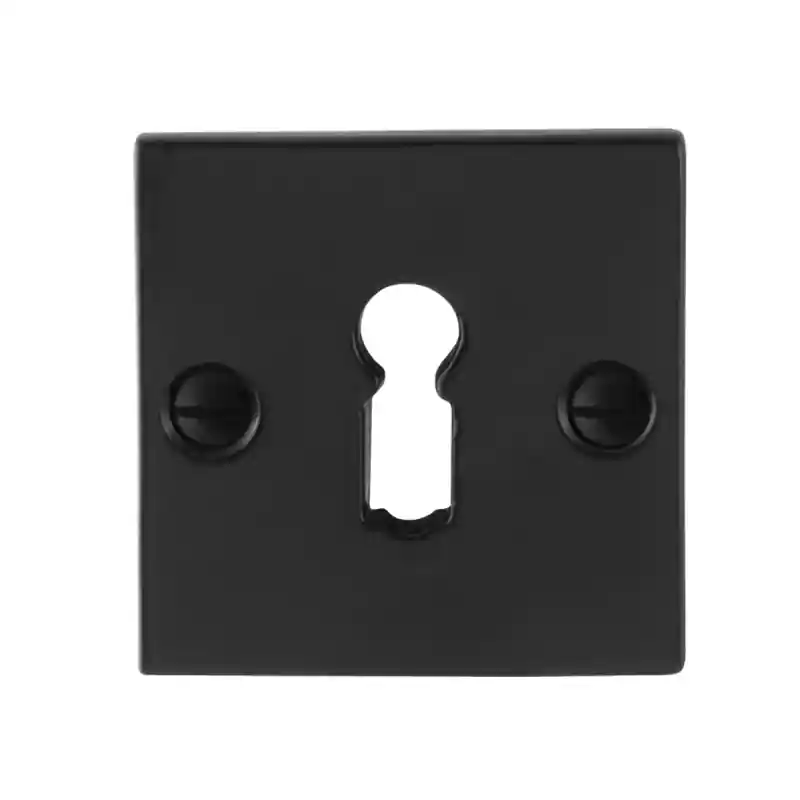 Voordeelprijs Sleutelrozet GPF6901.08 52x52x4mm smeedijzer zwart