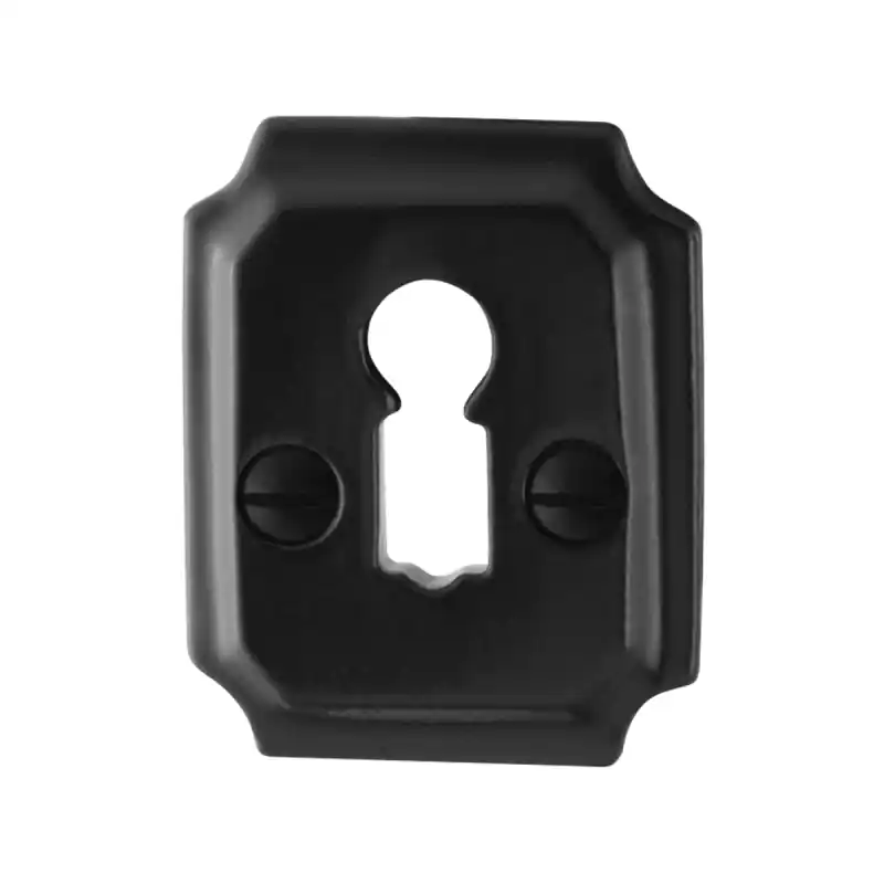 Sleutelrozet GPF6901.02 48x40x6mm smeedijzer zwart Koop Online