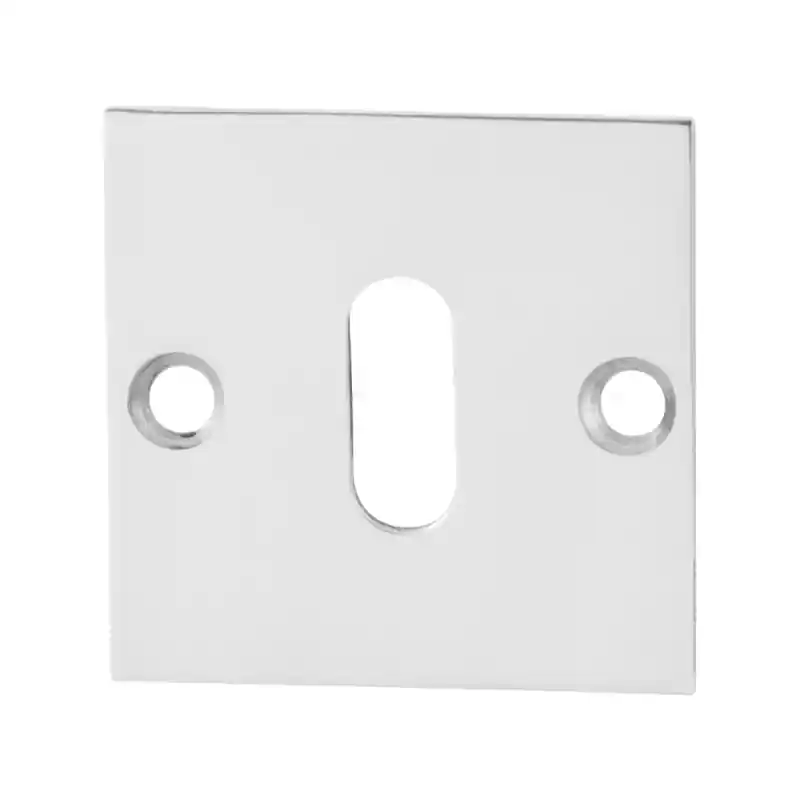 Betaalbaar Sleutelrozet GPF0901.48 50x50x2mm RVS gepolijst