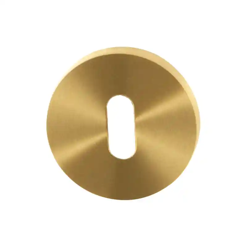 Sleutelrozet GPF0901.00P4 50x8mm PVD mat messing Koop Online