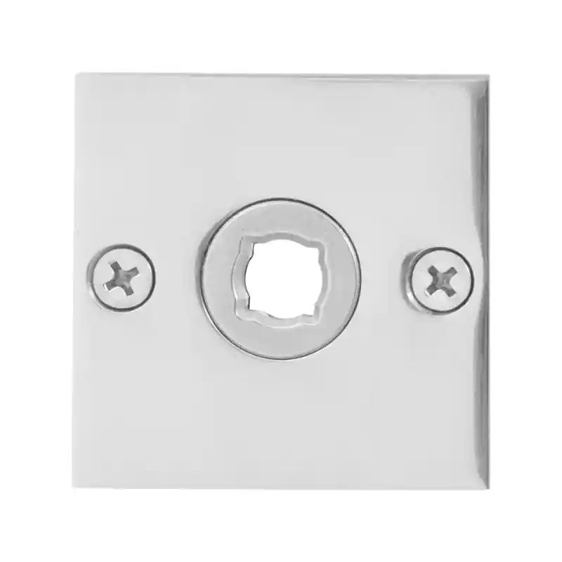 Merkproduct Rozet GPF1100.48 50x50x2mm RVS gepolijst