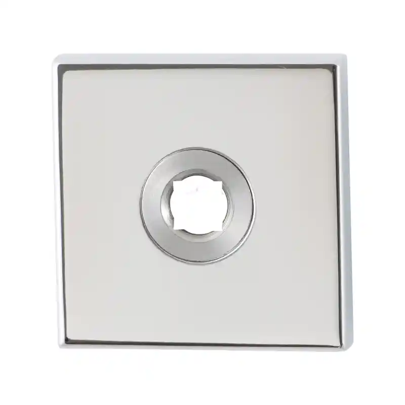 Direct Beschikbaar Rozet GPF1100.42 50x50x8mm RVS gepolijst