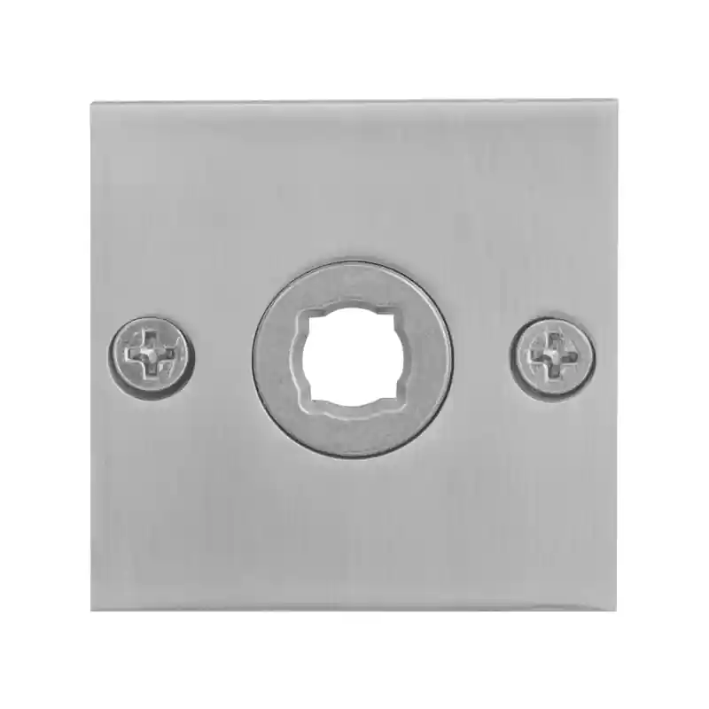 Fabrieksprijs Rozet GPF1100.08 50x50x2mm RVS geborsteld