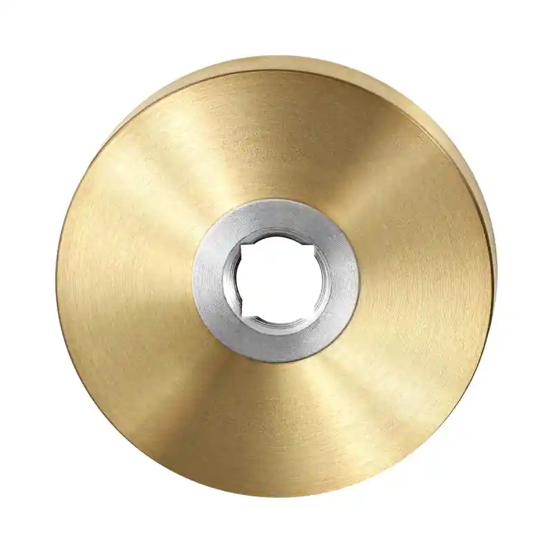 Rozet GPF1100.00P4 50x8mm PVD mat messing Gratis Retour