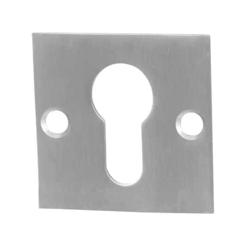 Must-Have Cilinderrozet GPF0902.08 50x50x2mm RVS geborsteld
