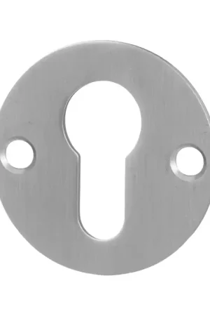 Weekendaanbieding Cilinderrozet GPF0902.06 50x2mm RVS geborsteld