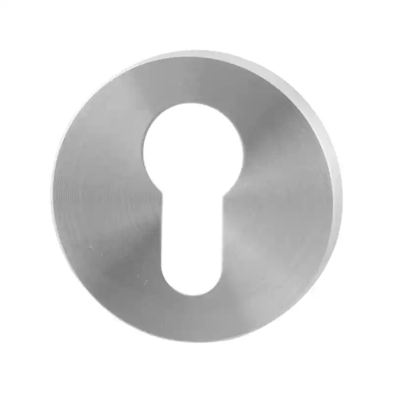 Lage Kosten Cilinderrozet GPF0902.05 50x6mm RVS geborsteld