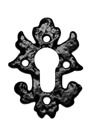 Cilinderrozet KP1063 82x60mm smeedijzer zwart Nu Kopen
