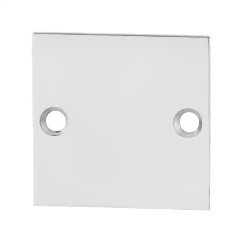 Blinde rozet GPF0900.48 50x50x2mm RVS gepolijst Veilige Betaling