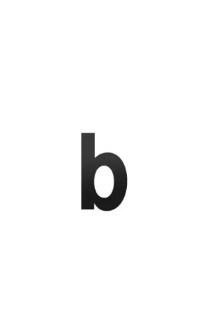 Favoriet Huisnummer toevoeging letter ‘b‘ zwart, 156 mm