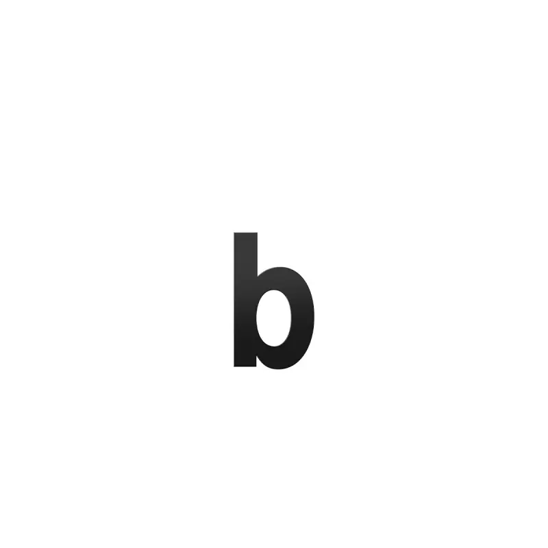 Favoriet Huisnummer toevoeging letter ‘b‘ zwart, 156 mm