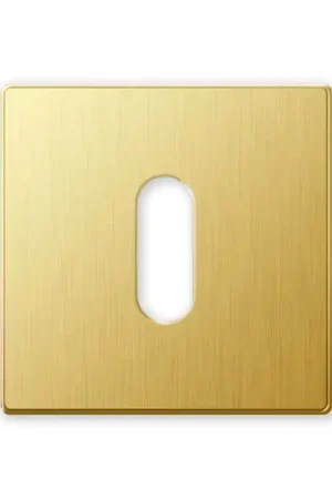 1291/B sleutelrozet 50x6mm satin messing Direct Beschikbaar