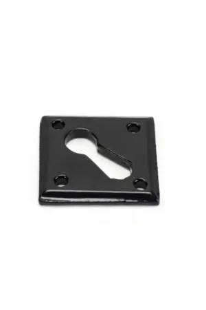 Wardlo sleutelrozet 41x41x2.5mm smeedijzer zwart Express Levering
