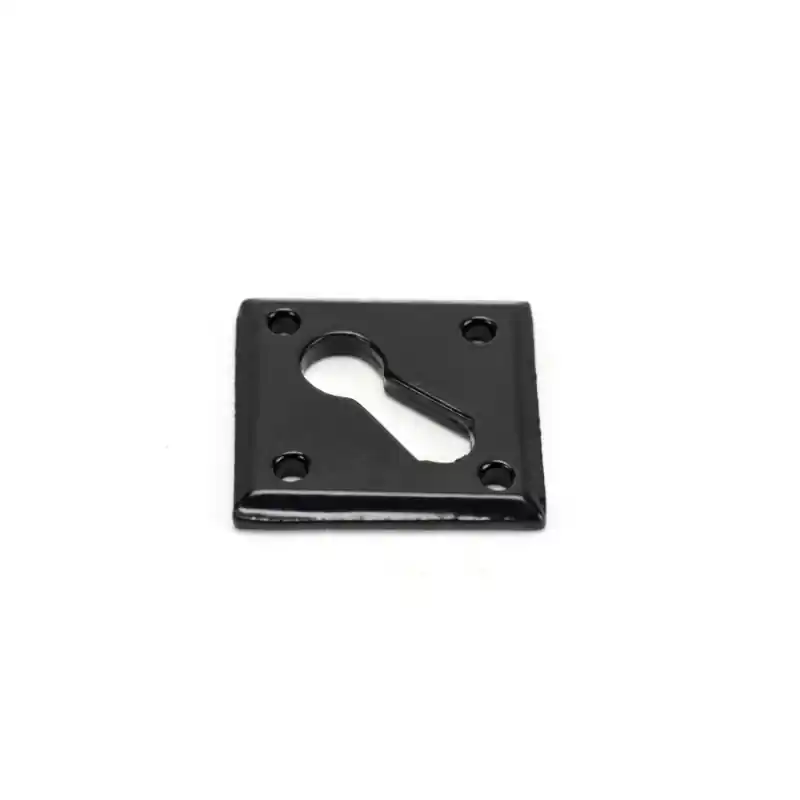 Wardlo sleutelrozet 41x41x2.5mm smeedijzer zwart Express Levering