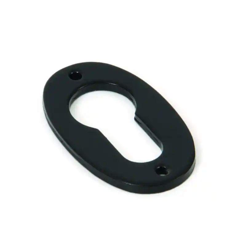 Wardlo cilinderrozet 51x31x2.5mm smeedijzer zwart Veilige Betaling
