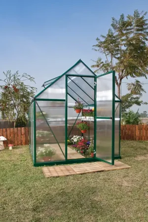 Merkproduct Palram Canopia Tuinkas Mythos 185 x 246 cm Groen