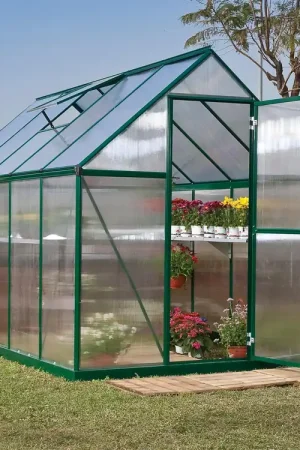 Uitverkoop Palram Canopia Tuinkas Mythos 185 x 305 cm Groen