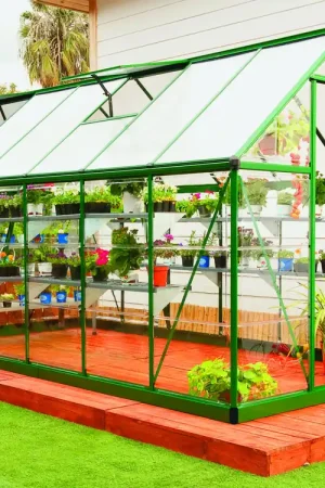 Gereduceerde Prijs Palram Canopia Tuinkas Hybrid 185 x 424 cm Groen