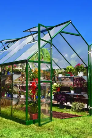 Exclusieve Aanbieding Palram Canopia Tuinkas Balance 244 x 367 cm Groen