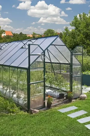 Veilige Betaling Palram Canopia Tuinkas Balance 244 x 607 cm Groen