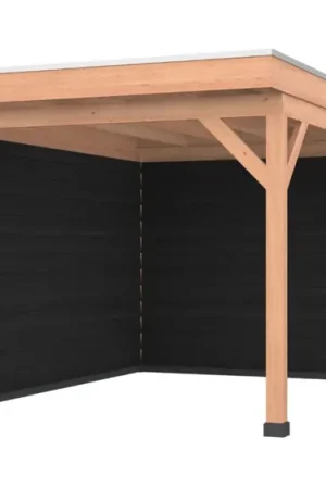 Nieuw Douglas overkapping, 300 x 400, met achterwand en zijwand, Westwood Comfort Zwart