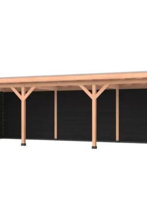 Dagaanbieding Douglas overkapping, 900 x 400, met zwarte achterwand en twee zijwanden, Westwood Comfort