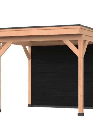 Nieuw Douglas overkapping, 300 x 250, Met achterwand, Westwood DIY zwart