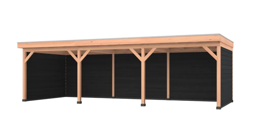 Douglas overkapping, 900 x 350, met zwarte achterwand en twee zijwanden, Westwood Comfort Must-Have