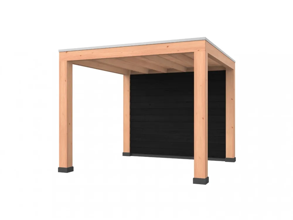Douglas overkapping, 300 x 300, met achterwand, Westwood Robuust zwart Koop Online