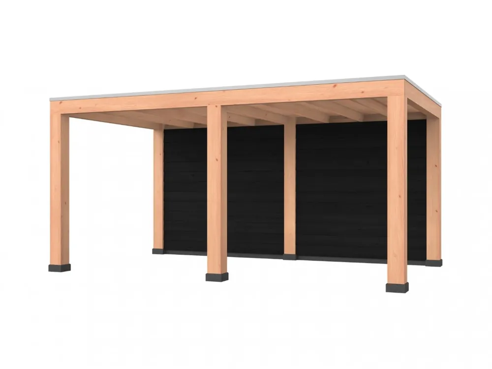 Douglas overkapping, 500 x 300, met achterwand, Westwood Robuust zwart Flitsaanbieding