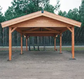 Lugarde configuratie carport C2 Populair