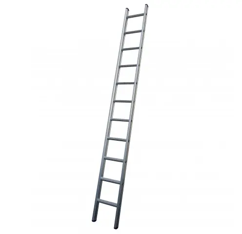 Ladder enkel 2.75 Meter 10 TREEDS Voordeelprijs