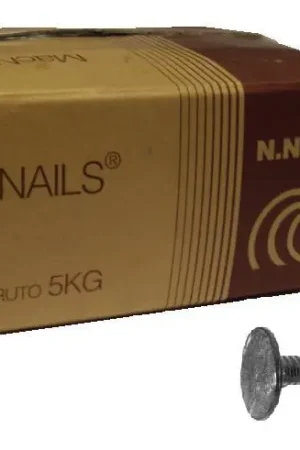 Asfaltnagels VZ 5KG 3.0*20 Lage Kosten